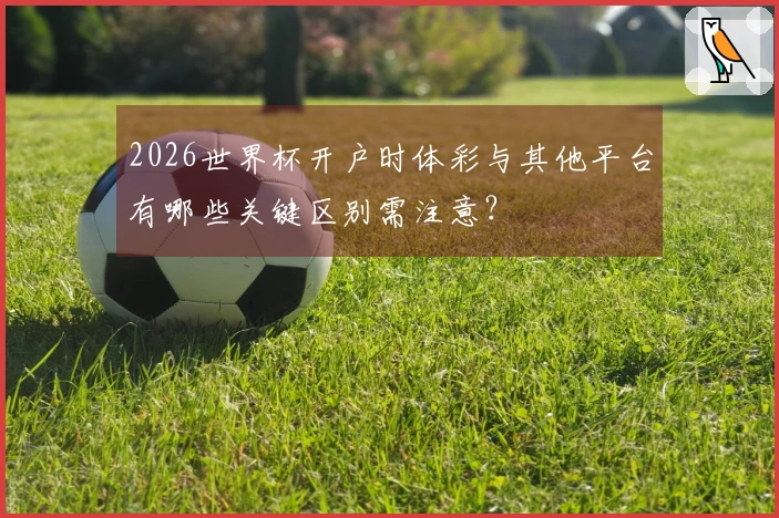 2026世界杯开户时体彩与其他平台有哪些关键区别需注意？