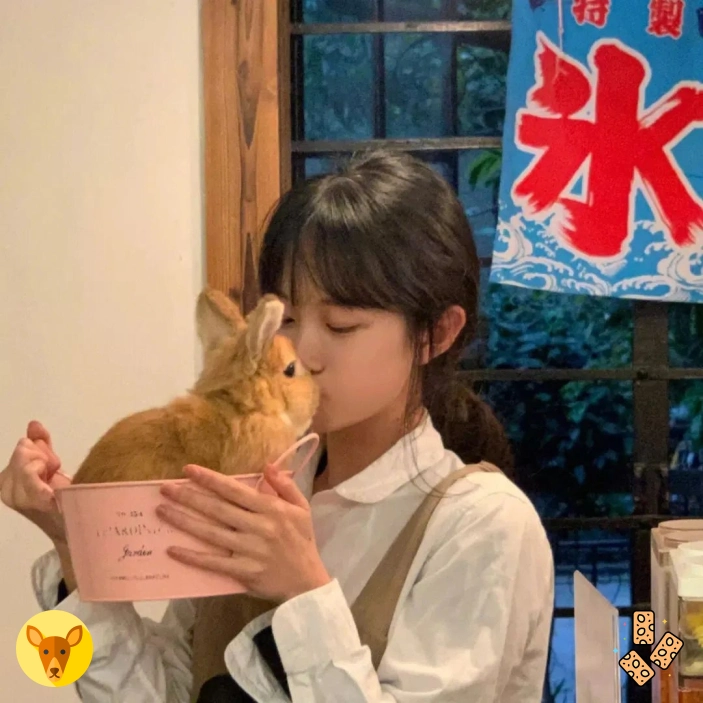 晚安账号